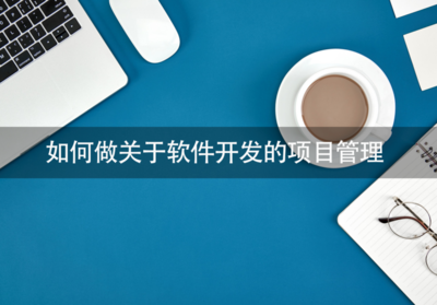 軟件開發項目管理的實用指南